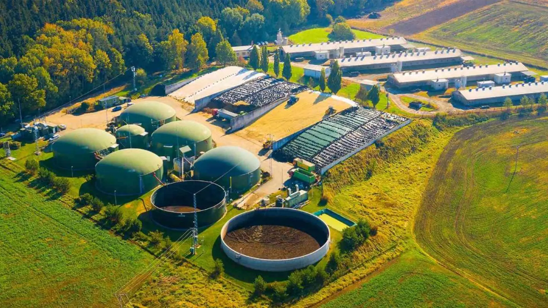 Biomass Energy - W3Tekno